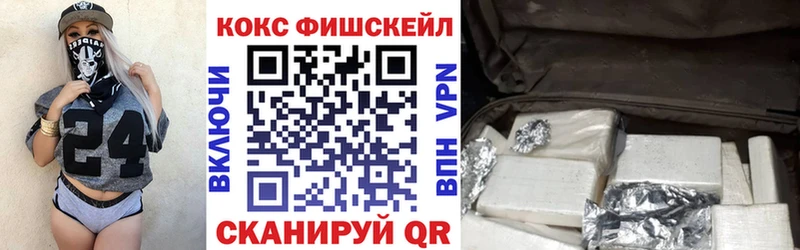 наркотики  Темников  Кокаин FishScale 