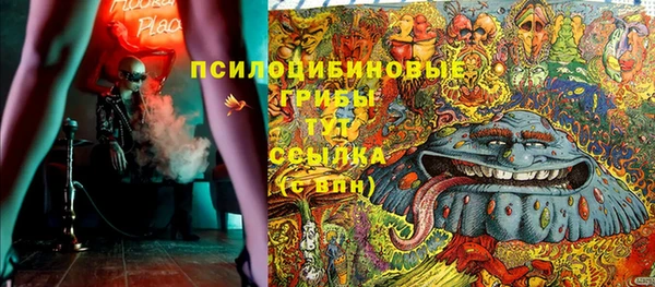 мяу мяу мука Пересвет