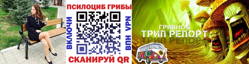 даркнет состав  Темников  Галлюциногенные грибы Psilocybine cubensis  МЕГА зеркало 