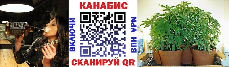 Канабис план  где найти наркотики  Темников 